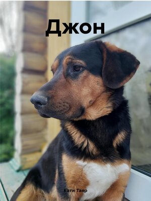 cover image of Джон
